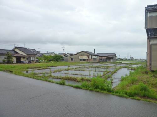 P1050445