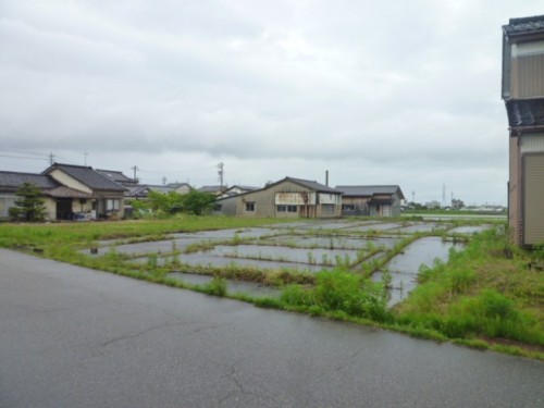 P1050445-624x468